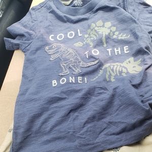 2t dinosaur outfit